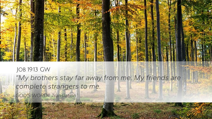 Job 19:13 GW Bible Verse Image