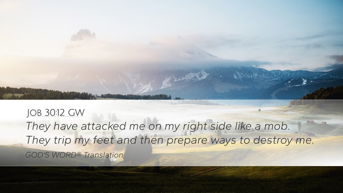 Job 30:12 GW Bible Verse Image