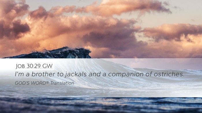 Job 30:29 GW Bible Verse Image