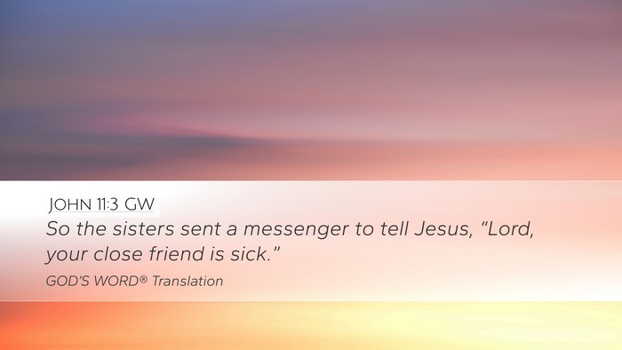 John 11:3 GW Bible Verse Image