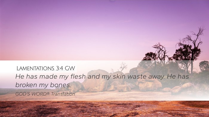 Lamentations 3:4 GW Bible Verse Image