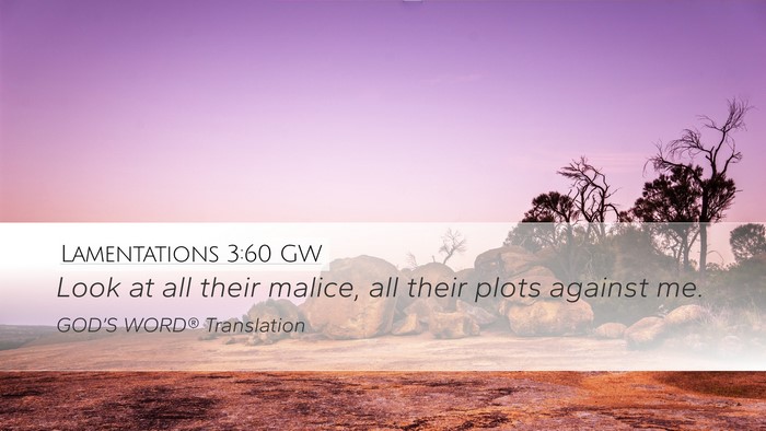 Lamentations 3:60 GW Desktop Wallpaper - Look at all their malice, all their plots against - Desktop Bible Verse Wallpaper