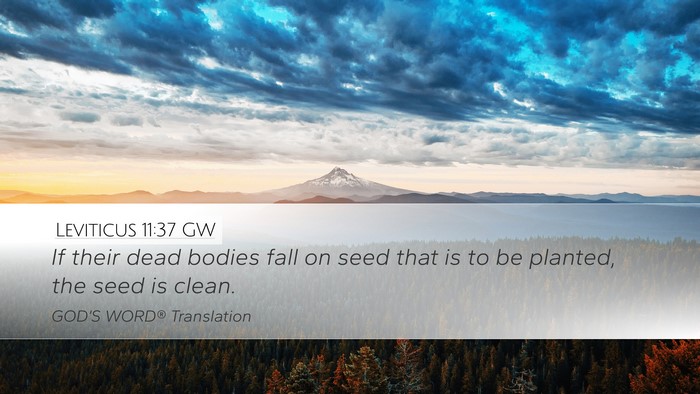 Leviticus 11:37 GW Desktop Wallpaper - If their dead bodies fall on seed that is to be - Desktop Bible Verse Wallpaper