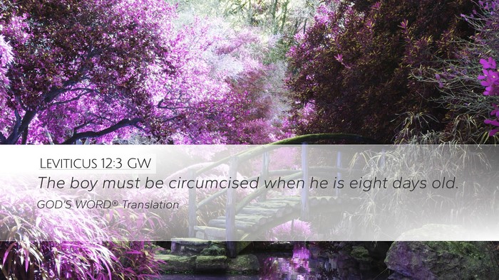 Leviticus 12:3 GW Bible Verse Image
