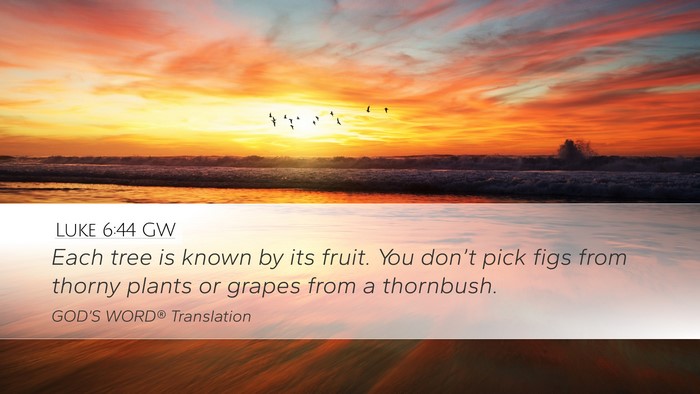 Luke 6:44 GW Bible Verse Image