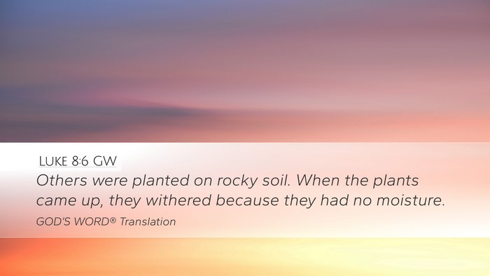 Luke 8:6 GW Desktop Wallpaper - Others were planted on rocky soil. When the - Desktop Bible Verse Wallpaper