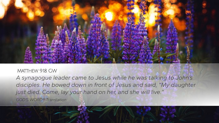 Matthew 9:18 GW Bible Verse Image