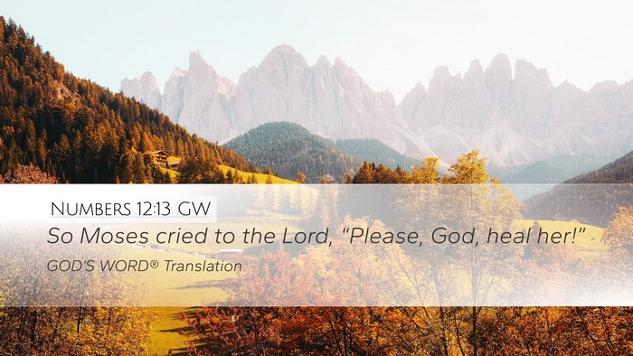 Numbers 12:13 GW Bible Verse Image