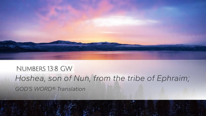 Numbers 13:8 GW Bible Verse Image