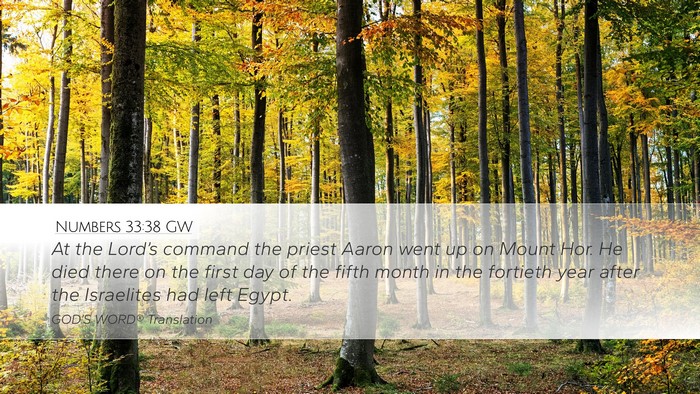 Numbers 33:38 GW Desktop Wallpaper - At the Lord’s command the priest Aaron went up - Desktop Bible Verse Wallpaper