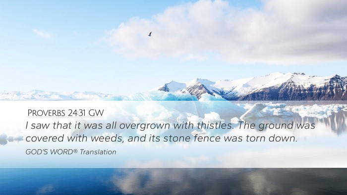 Proverbs 24:31 GW Desktop Wallpaper - I saw that it was all overgrown with thistles. - Desktop Bible Verse Wallpaper