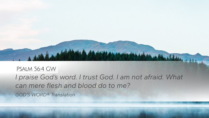 Psalm 56:4 GW Desktop Wallpaper - I praise God’s word. I trust God. I am not - Desktop Bible Verse Wallpaper