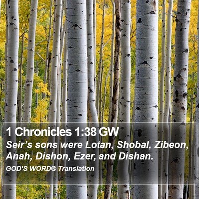 1 Chronicles 1:38 GW Bible Verse Image