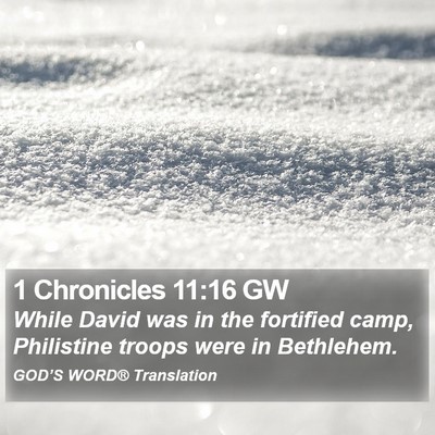 1 Chronicles 11:16 GW Bible Verse Image