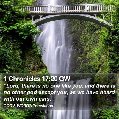 1 Chronicles 17:20 GW Bible Verse Image