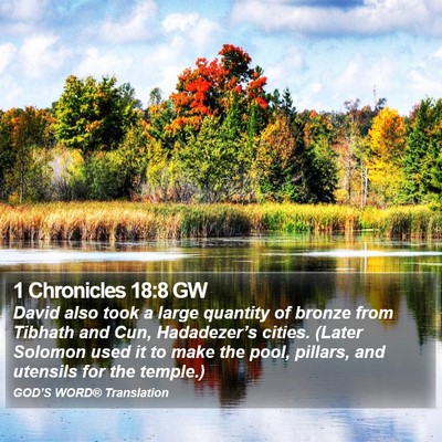 1 Chronicles 18:8 GW Bible Verse Image