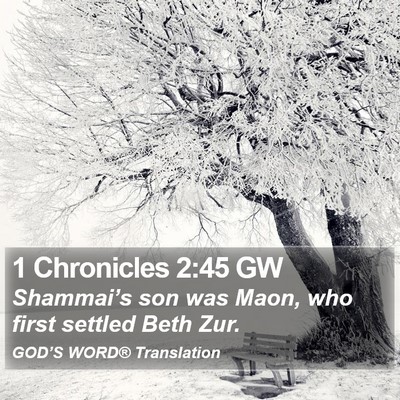 1 Chronicles 2:45 GW Bible Verse Image