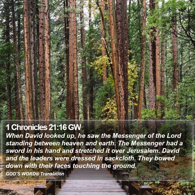 1 Chronicles 21:16 GW Bible Verse Image