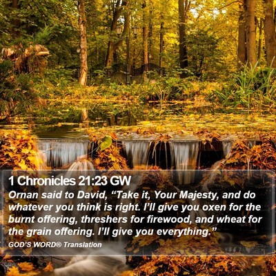 1 Chronicles 21:23 GW Bible Verse Image