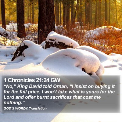 1 Chronicles 21:24 GW Bible Verse Image