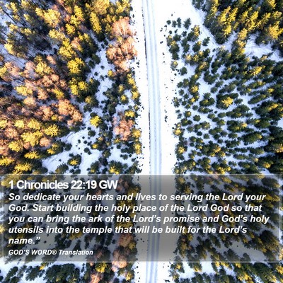 1 Chronicles 22:19 GW Bible Verse Image