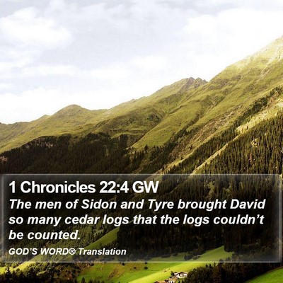 1 Chronicles 22:4 GW Bible Verse Image