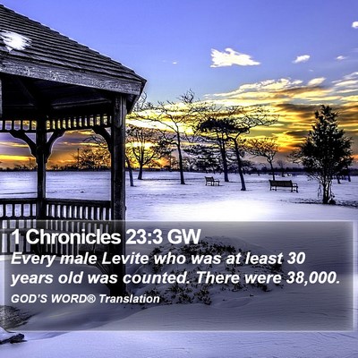 1 Chronicles 23:3 GW Bible Verse Image