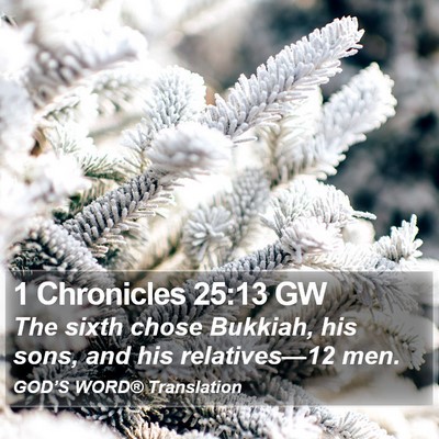 1 Chronicles 25:13 GW Bible Verse Image