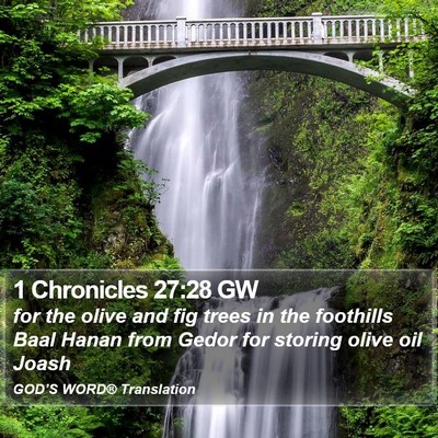 1 Chronicles 27:28 GW Bible Verse Image