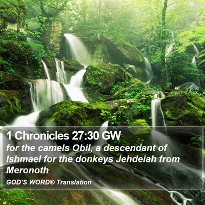 1 Chronicles 27:30 GW Bible Verse Image