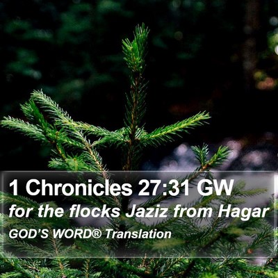1 Chronicles 27:31 GW Bible Verse Image