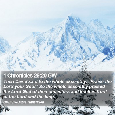 1 Chronicles 29:20 GW Bible Verse Image