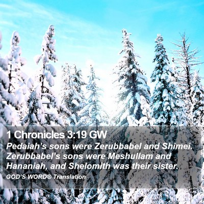 1 Chronicles 3:19 GW Bible Verse Image