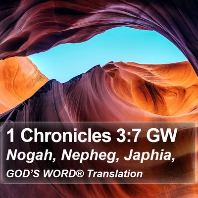 1 Chronicles 3:7 GW Bible Verse Image