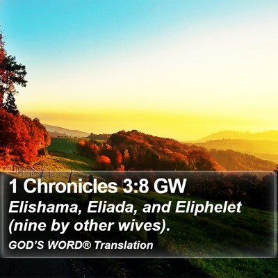 1 Chronicles 3:8 GW Bible Verse Image