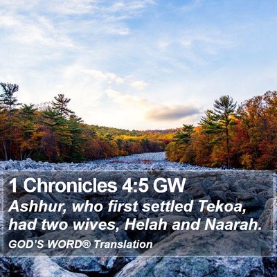 1 Chronicles 4:5 GW Bible Verse Image