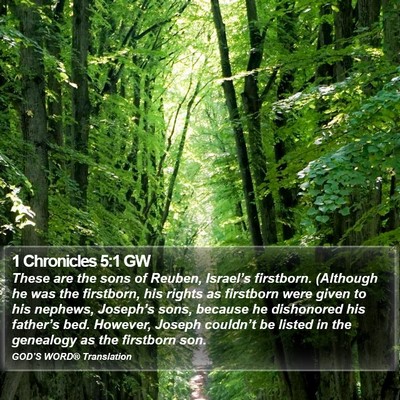 1 Chronicles 5:1 GW Bible Verse Image