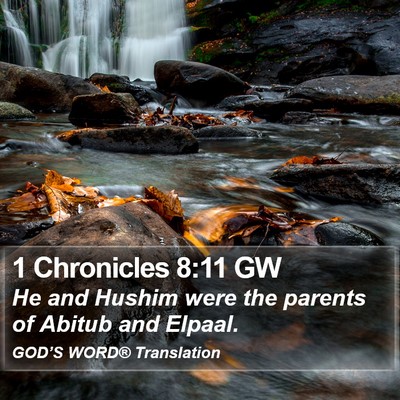 1 Chronicles 8:11 GW Bible Verse Image
