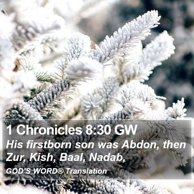 1 Chronicles 8:30 GW Bible Verse Image