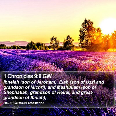1 Chronicles 9:8 GW Bible Verse Image