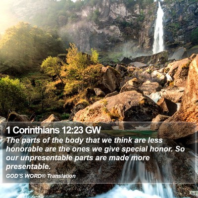 1 Corinthians 12:23 GW Bible Verse Image