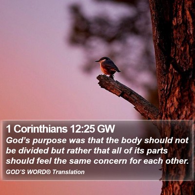1 Corinthians 12:25 GW Bible Verse Image