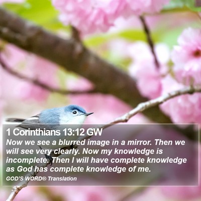 1 Corinthians 13:12 GW Bible Verse Image