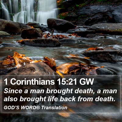 1 Corinthians 15:21 GW Bible Verse Image