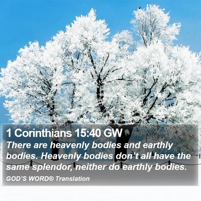 1 Corinthians 15:40 GW Bible Verse Image