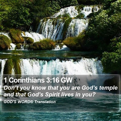 1 Corinthians 3:16 GW Bible Verse Image