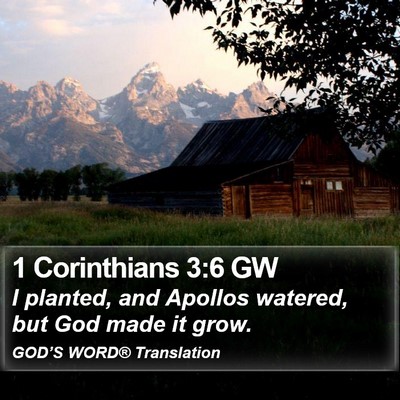 1 Corinthians 3:6 GW Bible Verse Image
