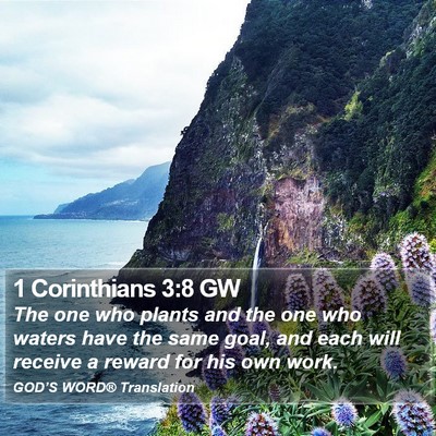 1 Corinthians 3:8 GW Bible Verse Image