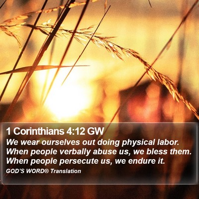 1 Corinthians 4:12 GW Bible Verse Image