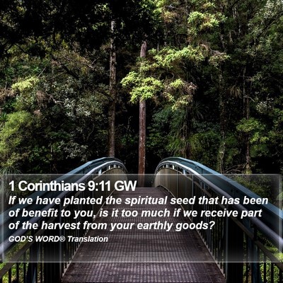 1 Corinthians 9:11 GW Bible Verse Image